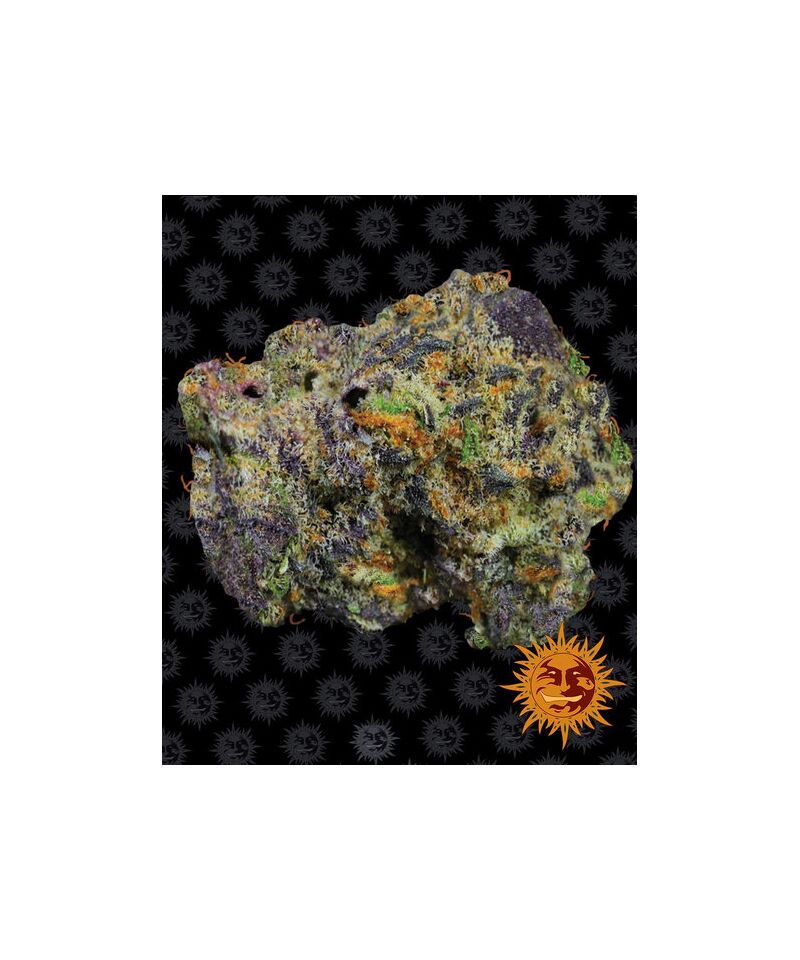 Runtz Muffin, Фасовка: 3, изображение 7